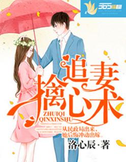 追妻心术 追妻心术