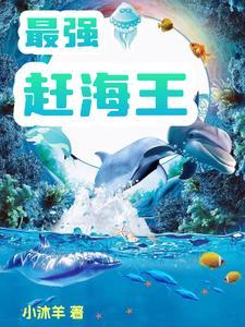 最牛赶海 最牛赶海