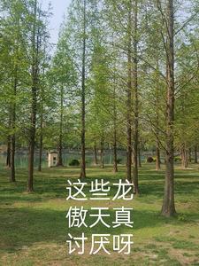 讨厌龙傲天文 讨厌龙傲天文