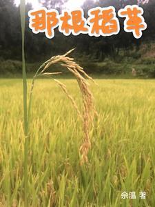 那根稻草压死了骆驼 那根稻草压死了骆驼