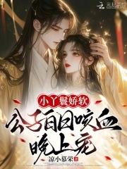 丫鬟是公主 丫鬟是公主