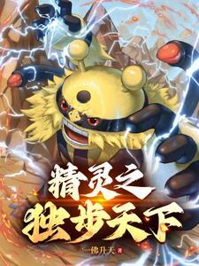 精灵宝可梦之登神长街txt 精灵宝可梦之登神长街txt