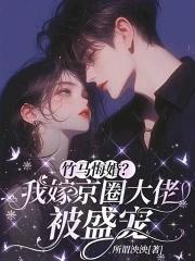 竹马悔婚我嫁京圈大佬被盛宠免费阅读 竹马悔婚我嫁京圈大佬被盛宠免费阅读