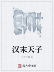 汉末天子 汉末天子