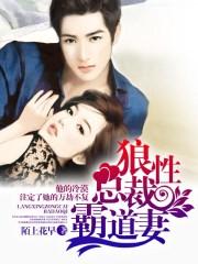 狼性总裁霸道妻 狼性总裁霸道妻
