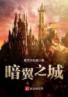 暗翼之城 暗翼之城
